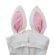 画像4: MY FIRST HYSTERIC　LITTLE BUNNY HOODIE耳付き 半袖Tシャツ　61；レモンイエロー　FREE(80-90cm) (4)